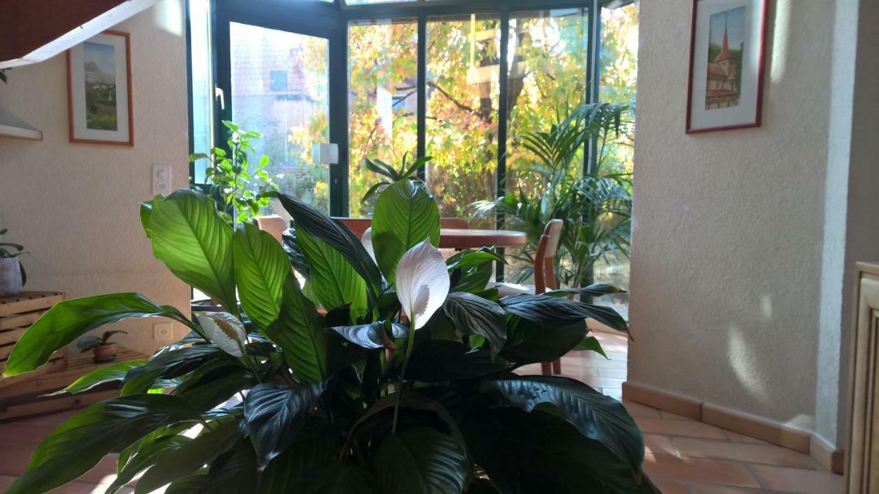 Guest House La Sereine Romanel-sur-Morges ภายนอก รูปภาพ